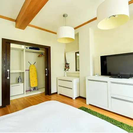 Luxury Apartment