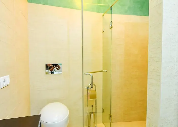 Luxury 公寓 布拉索夫